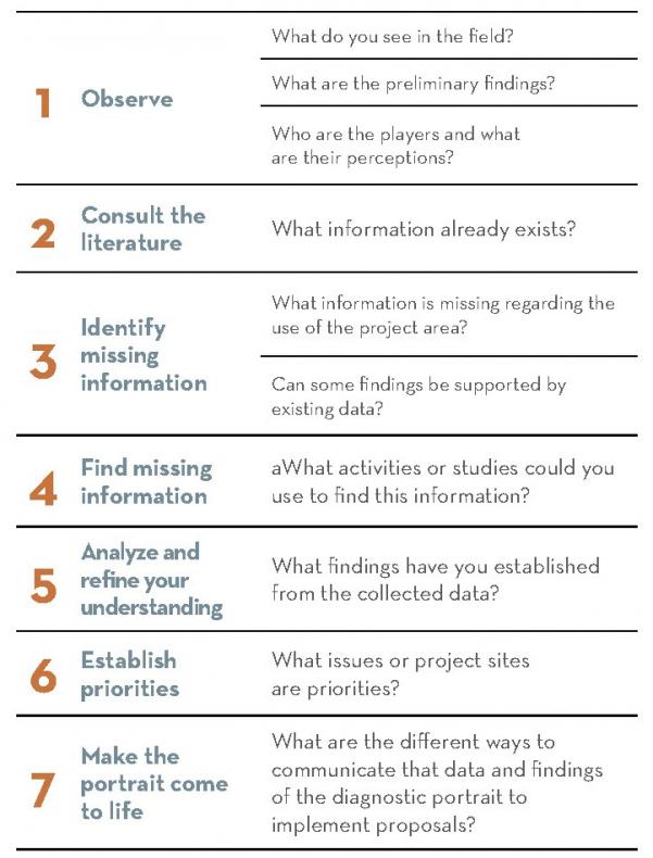 Recommended steps for guiding the Understand phase.