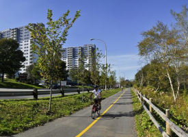 Active Transportation Trail